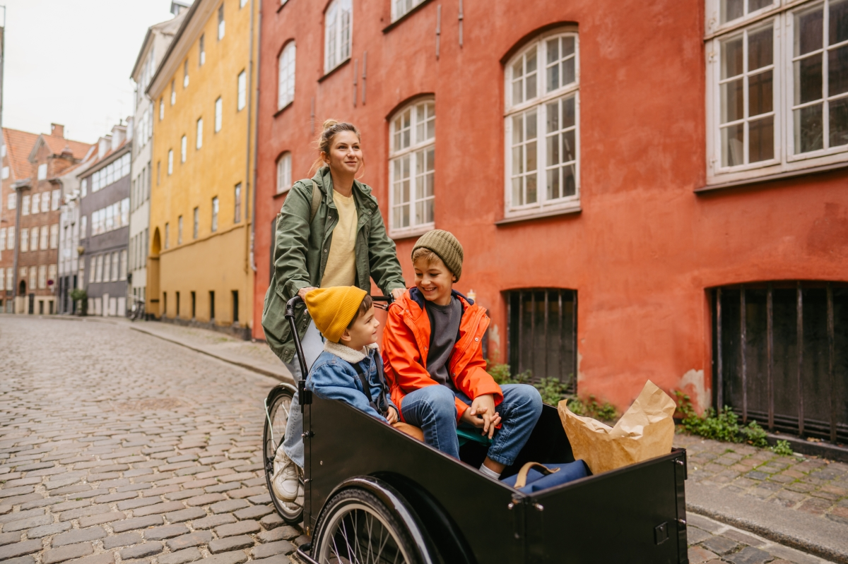 Bakfiets kussen sets door Qiewie